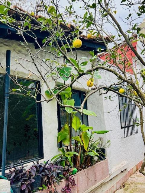 Сasa de vacaciones Maravillosa Casa Quinta