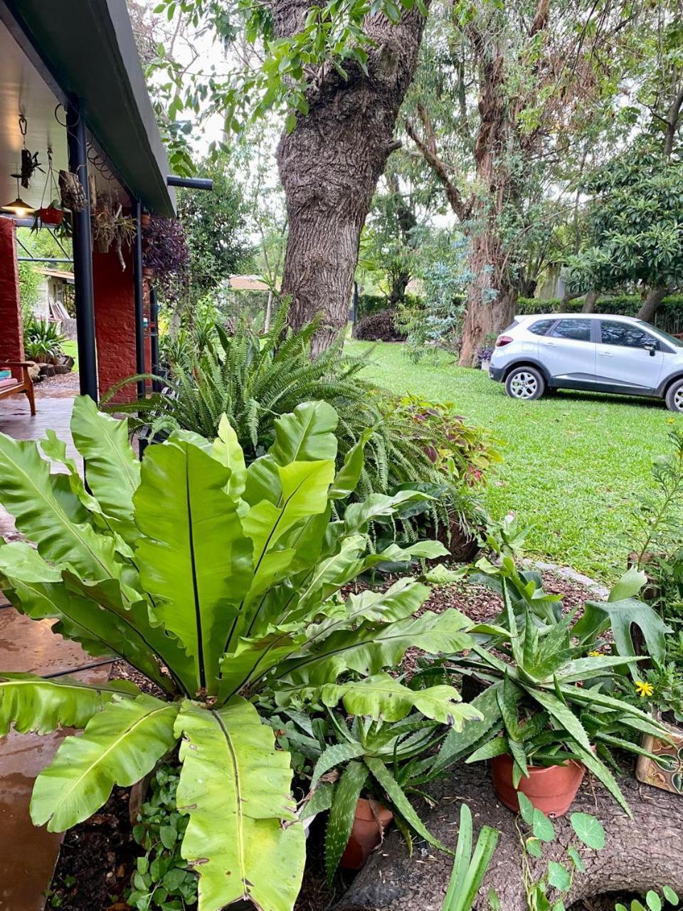 Maravillosa Casa Quinta Сasa de vacaciones Del Viso